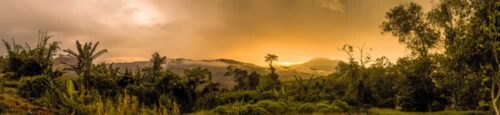 PWP492-rainforest-sunset