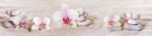 PWP527-flowers-stones-on-sand