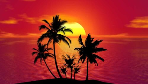 PSB365-tropical-sunset